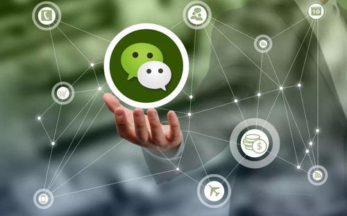 朋友圈营销策划推广实战指南 微渔商学院助你精准引流